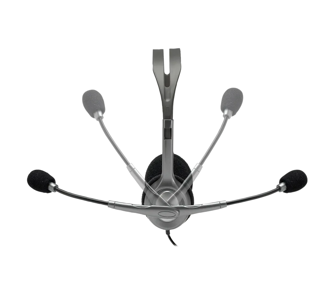 Logitech H110 Stereo Headset